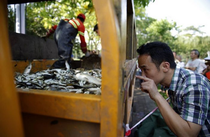 10 toneladas de peces enterrados vivos en un vertedero de Guangdong