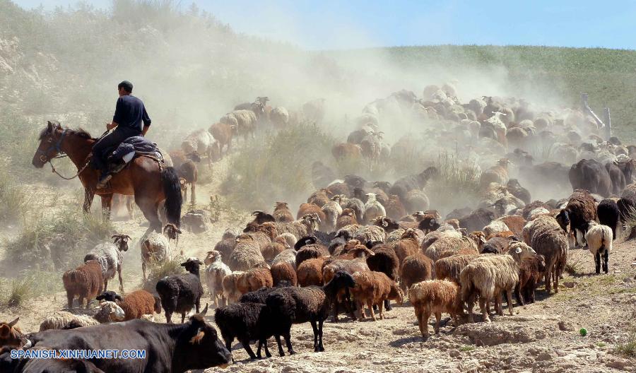 Vida cotidiana de condado Yining de Xinjiang  2