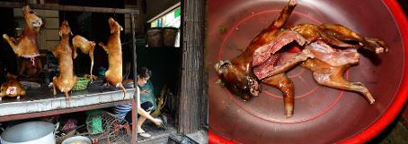 Gato asado vietnamita para la buena suerte