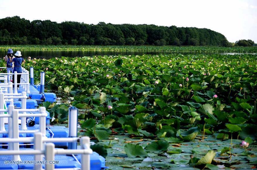 Heilongjiang: Bello paisaje de Lago Yueya en Hulin 