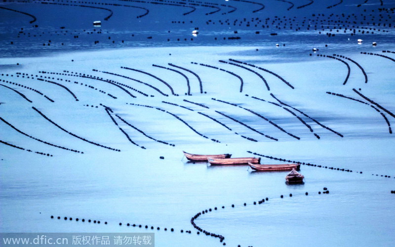 La ciudad de Rongcheng, en la provincia de Shandong. [Foto: IC] 