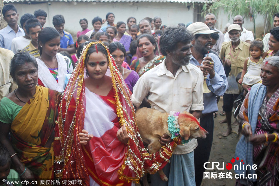 Ni?a india se casa con un perro callejero para evitar una maldición