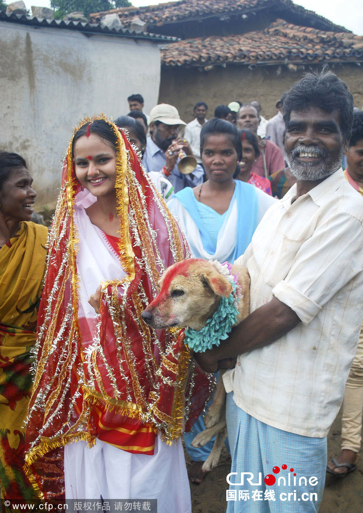 Ni?a india se casa con un perro callejero para evitar una maldición