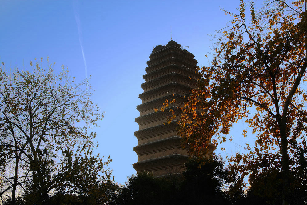 Patrimonio Cultural de la Humanidad - Ruta de la Seda: Peque?a Pagoda del Ganso Salvaje