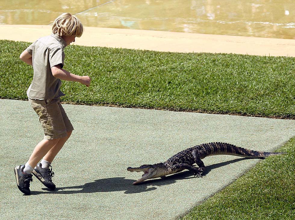 Un ni?o australiano de 10 a?os se enfrenta con un cocodrilo