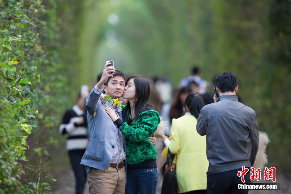 El "túnel del amor" de Nanjing