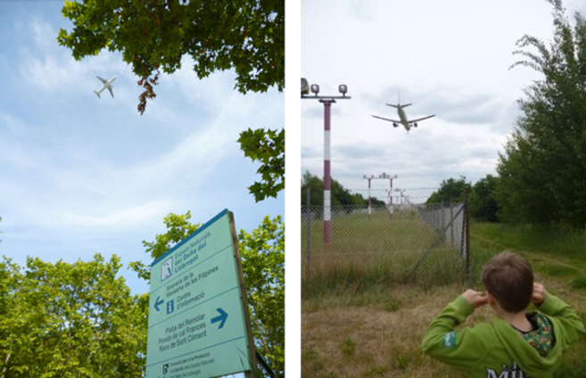 El ruido de los aeropuertos cambia las costumbres de los pájaros