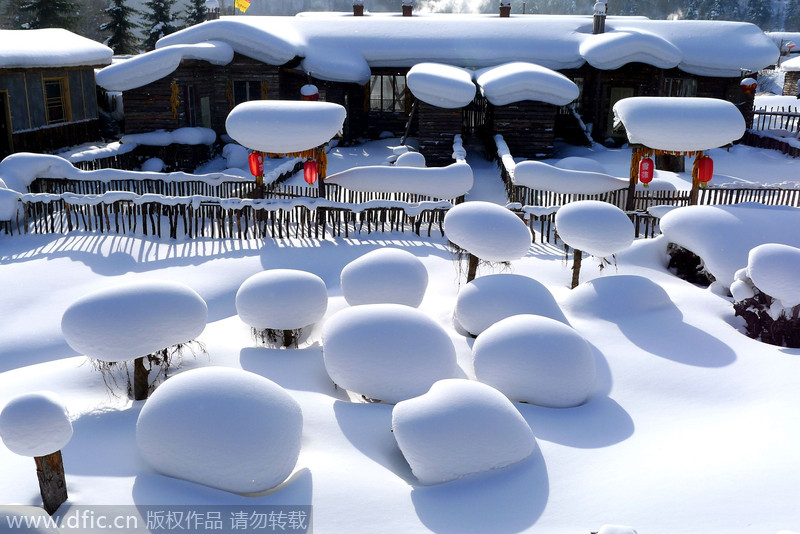 Imagen de una granja nevada?en el bosque Shuangfeng de?la ciudad Mudanjiang en la provincia?de?Heilongjiang,?el?17 de diciembre de?2012.?[Foto/IC]