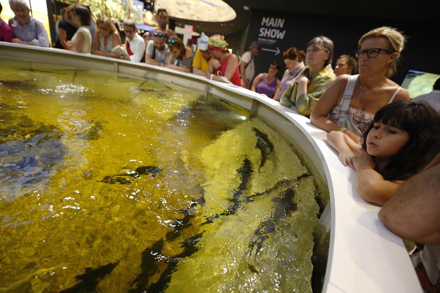 Pabellón de Kazajstán en Expo Milán