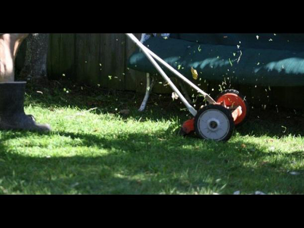 Cárcel para jardinero que mató a 9 patitos con podadora