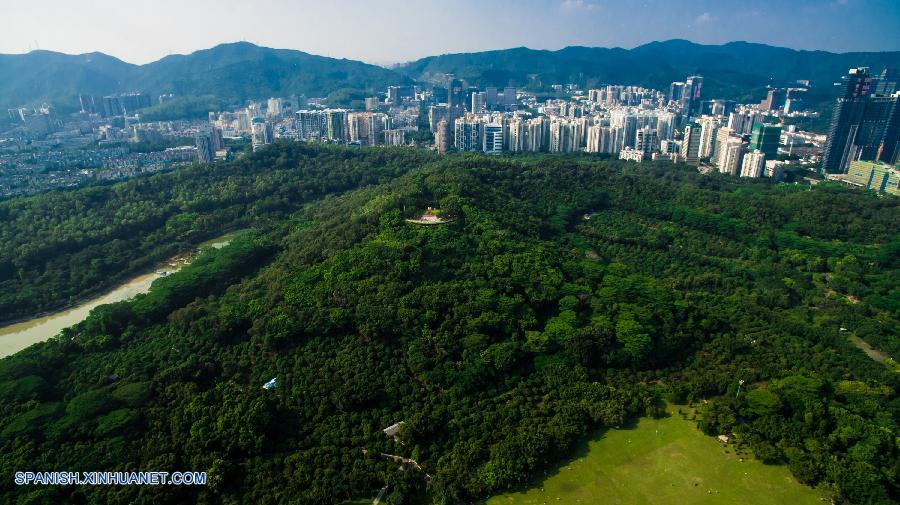 Paisaje de Shenzhen