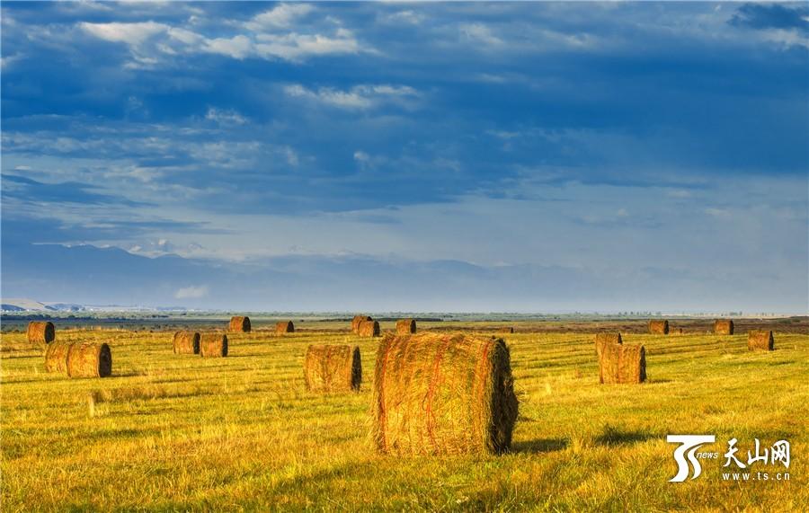 Hermoso paisaje de Xinjiang