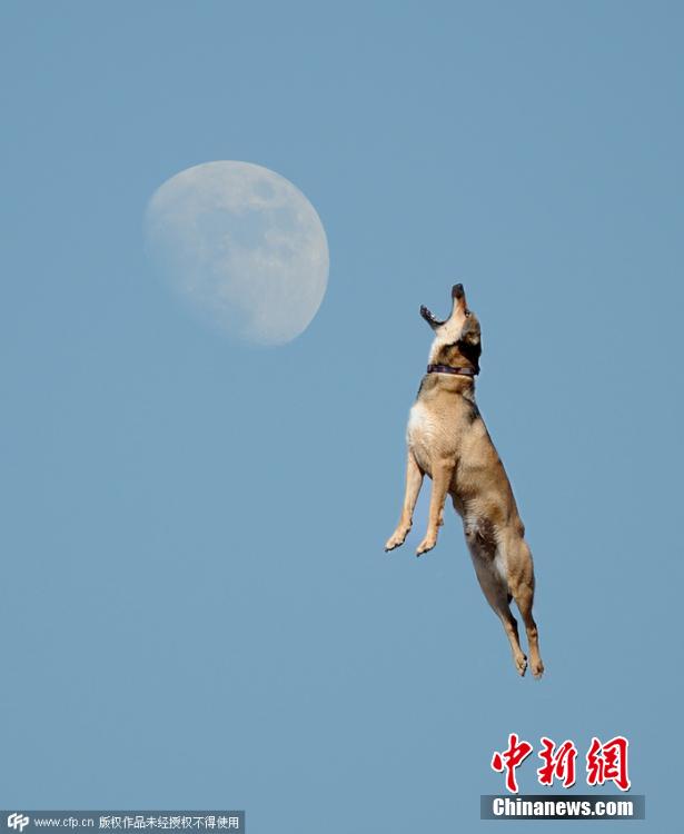 La luna en ojos de los fotógrafos 2