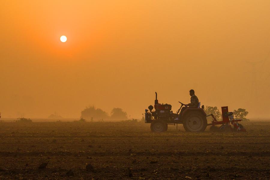 Los agricultores siembran trigo en Xiayi, provincia de Henan. [Foto/Xinhua]