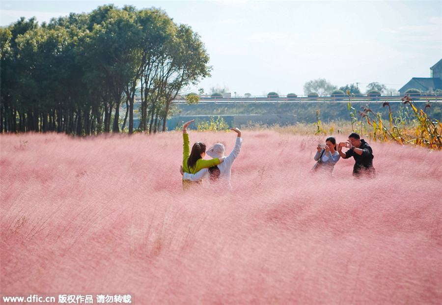 Turistas visitan el paisaje rosa de Shanghai