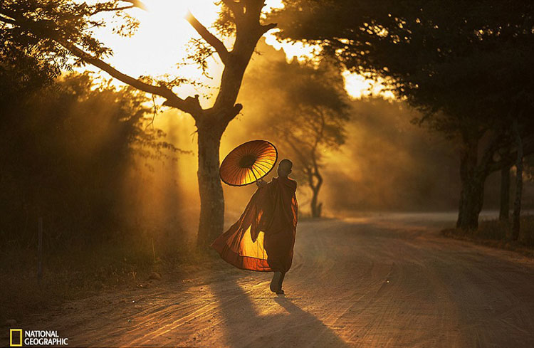 Obras maravillosas del Concurso de la Fotografía de National Geographic 2015