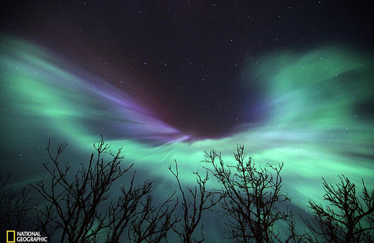 Obras maravillosas del Concurso de la Fotografía de National Geographic 2015