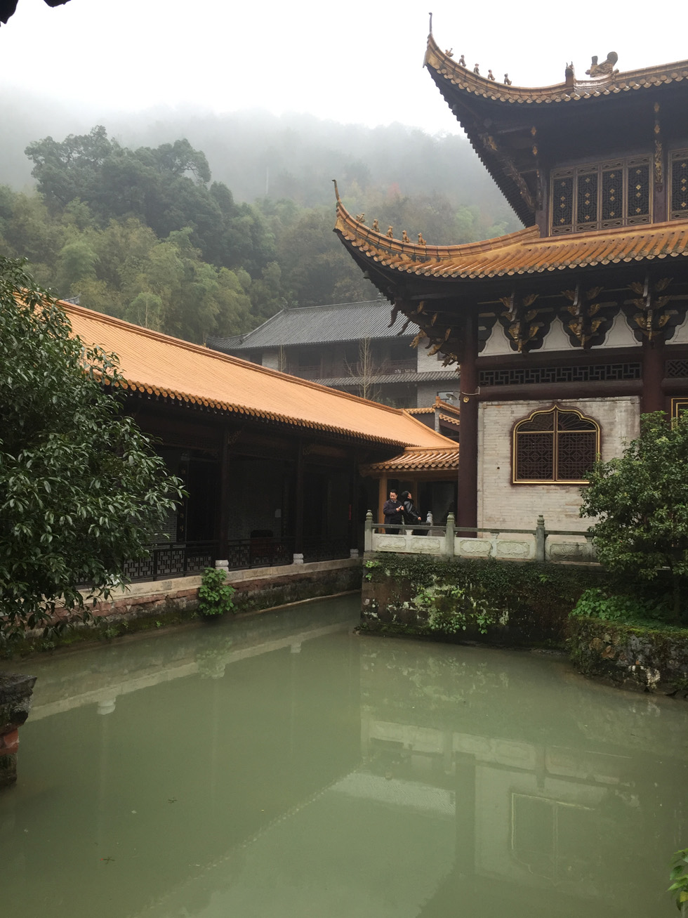 Periodistas extranjeros visitan la monta?a Qingyuan de Ji′an