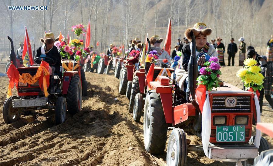 Agricultores celebran arado tradicional de primavera en el Tíbet