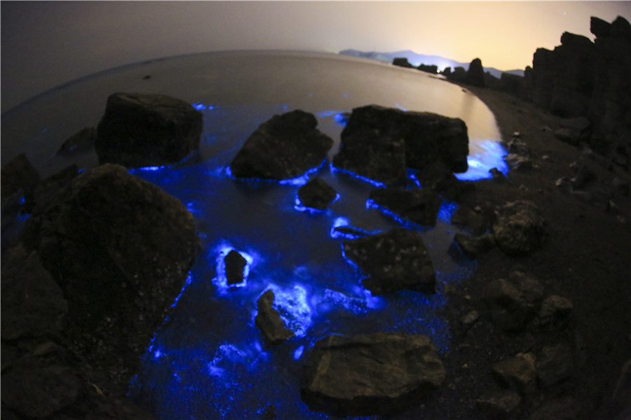 Increíbles imágenes de la playa fluorescente de Dalian