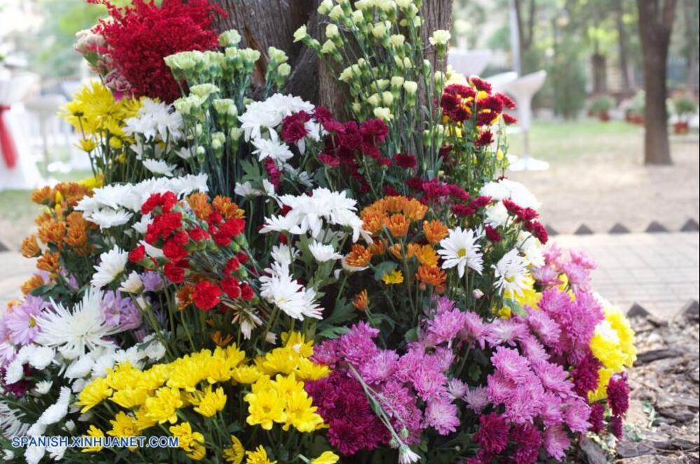 China es un escaparate mundial para promocionar flores colombianas, asegura embajadora de Colombia