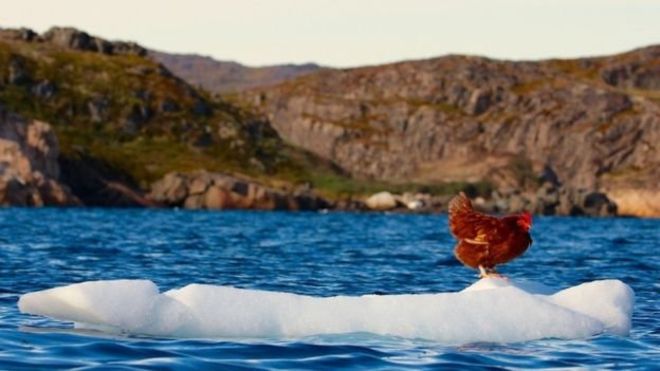 Una gallina y un marinero viajan alrededor del mundo 10