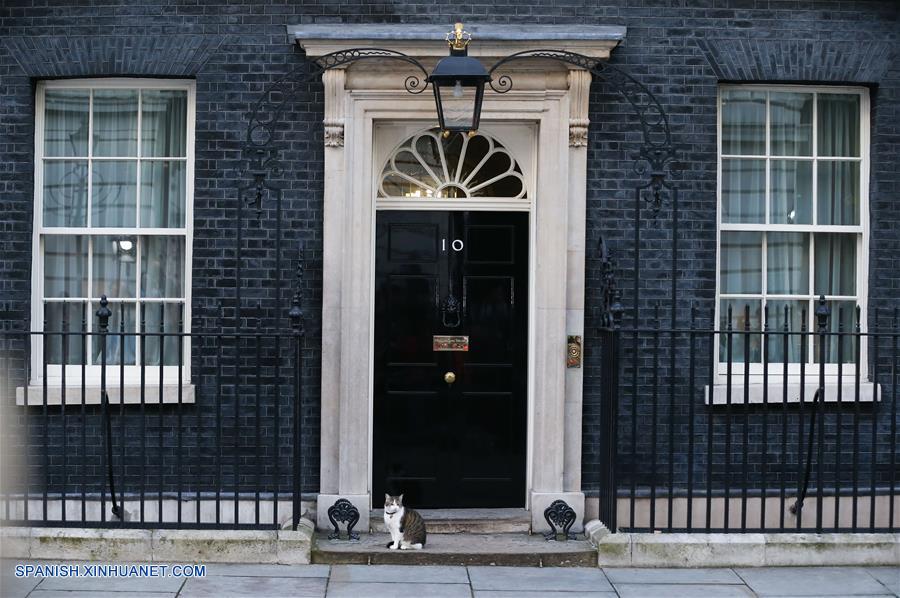 Larry, el gato de David Cameron