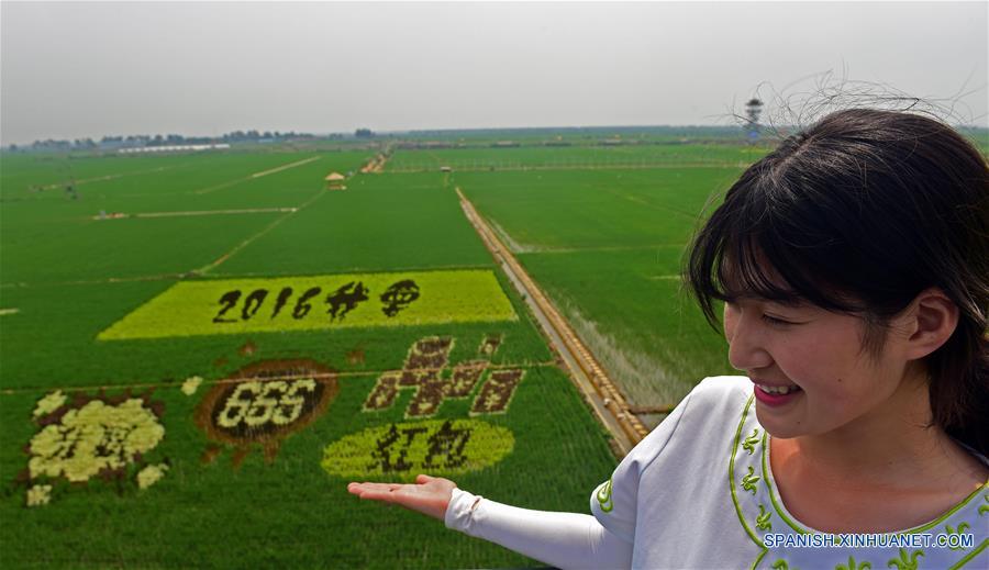 Dibujos animados en un parque industrial agrícola de China