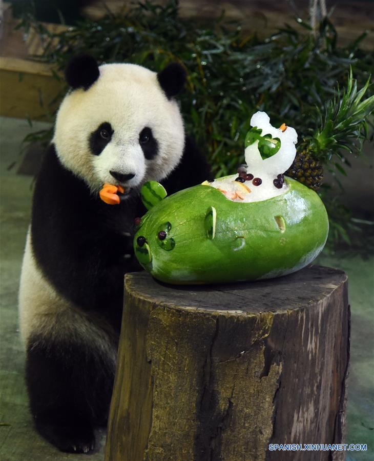 Zoológico festeja el tercer a?os de panda gigante Yuanzai