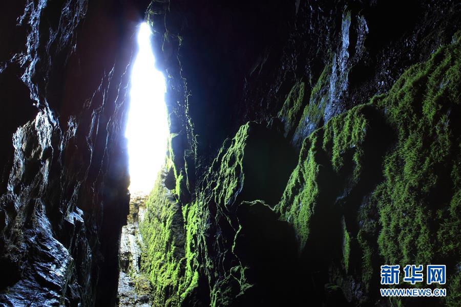 Shennongjia, de la provincia china de Hubei, declarado Patrimonio de la Humanidad