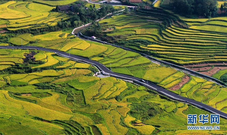 Paisaje de terraza para agricultura en Hunan