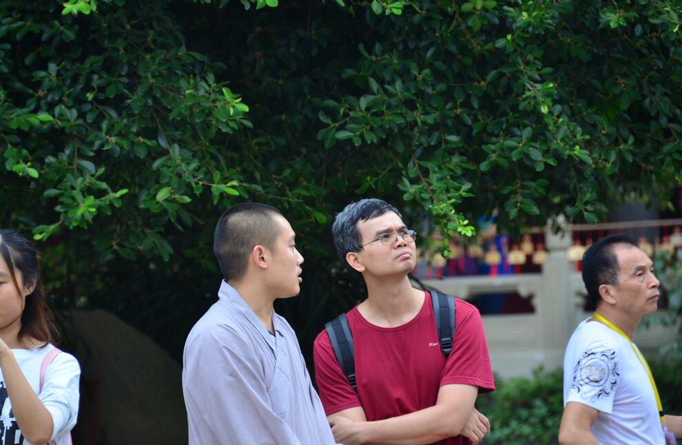 Periodistas extranjeros visitan el Templo Dafo de Emeishan