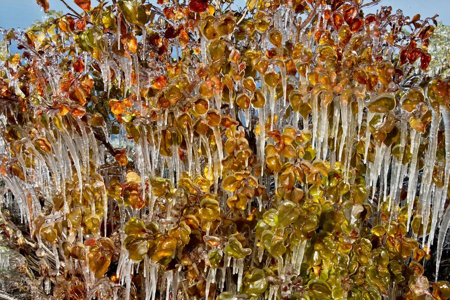 Provincia de Gansu amanece con témpanos de hielo