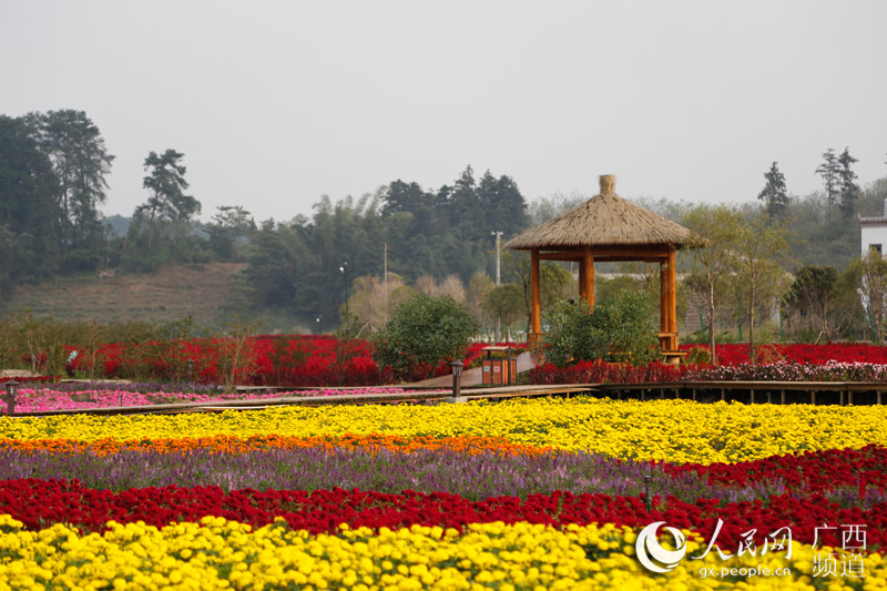 “Mar de las Flores del Lago de las Hadas”: exuberancia, turismo y desarrollo social