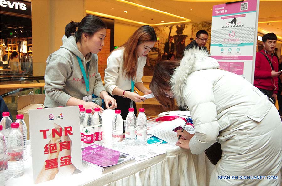 El Día de la Adopción de Beijing es una organización de caridad sin fines de lucro. Hasta la fecha se han celebrado 48 ediciones de eventos físicos para ofrecer la oportunidad por la que los humanos puedan acercarse con los animales. (foto: El Día de la Adopción de Beijing)