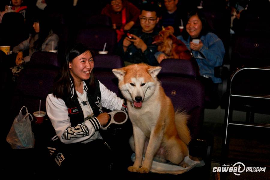 Due?os de perros en Xi′an llevan a sus amigos peludos al cine