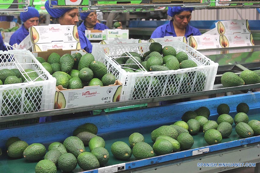 América Latina conquista estómago chino con creciente diversificación de exportaciones agrícolas