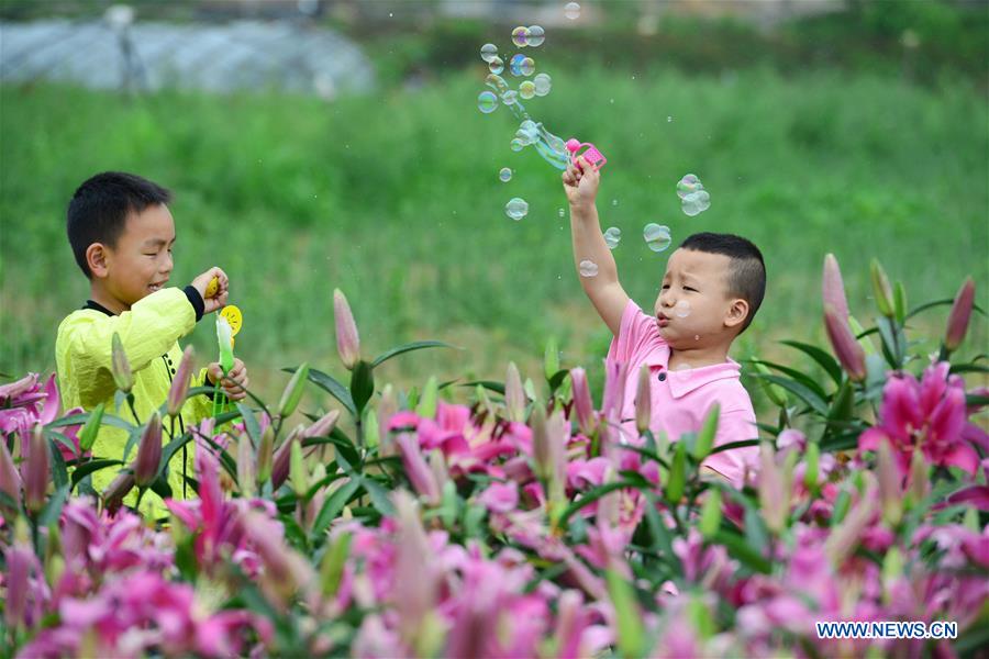 Ni?os juegan felices en el reino de los lirios de la aldea Wanghutun, en la provincia Guizhou, el 21 de mayo del 2017. (Foto: Yang Wenbin)