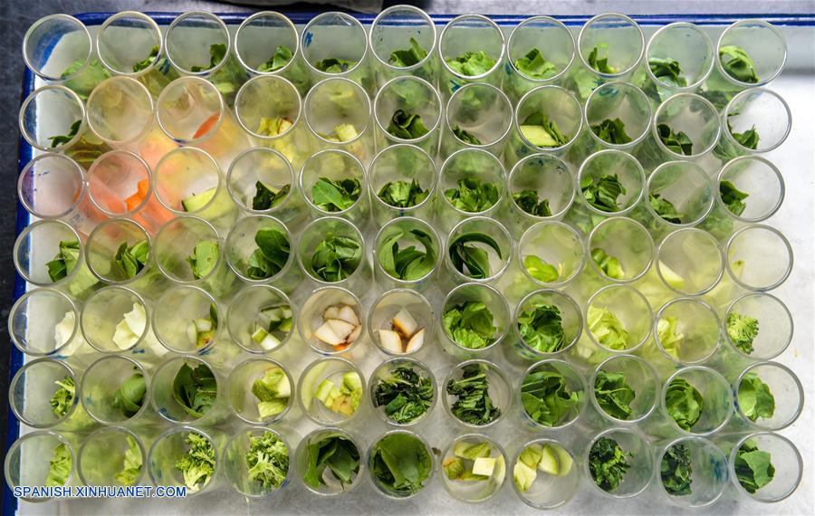 GUANGDONG, junio 18, 2017 (Xinhua) -- Imagen del 13 de junio de 2017, de muestras de productos de vegetales esperando su inspección en el centro de comercio de vegetales de Runfeng en Dongguan, en la provincia de Guangdong, en el sur de China. Según las estadísticas de las autoridades locales, más del 85 por ciento de los vegetales, frutas y aves de corral vivas que llegaron desde la parte continental de China a los mercados de Hong Kong, fueron transportados a través del puerto Wenjindu de Shenzhen. (Xinhua/Mao Siqian)