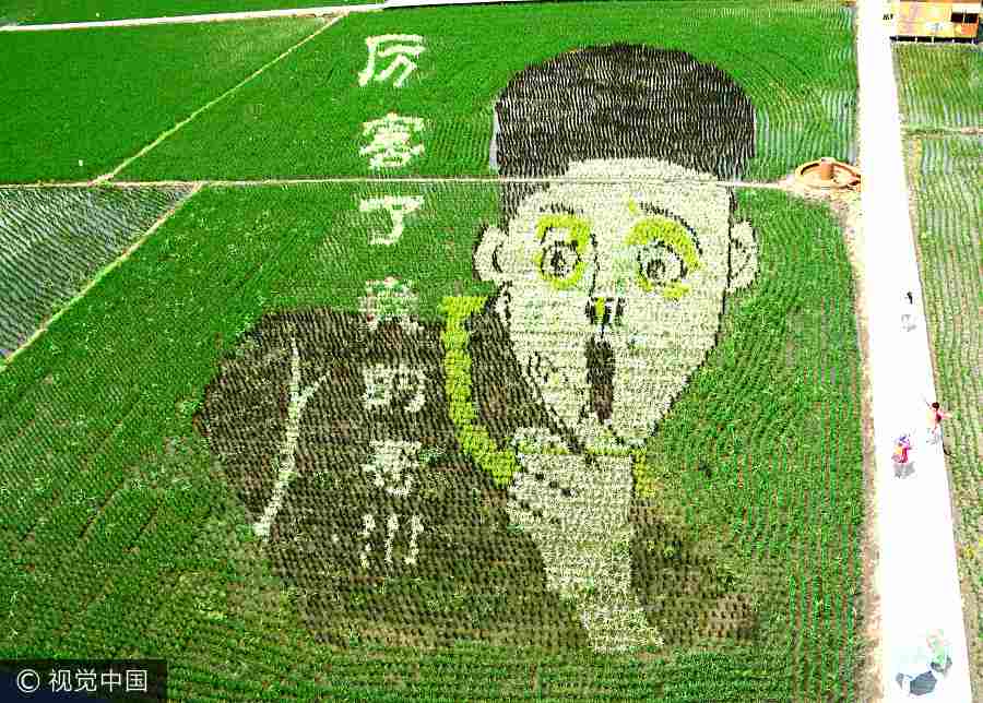 Crean “murales vivos” en los campos de arroz de Shenyang