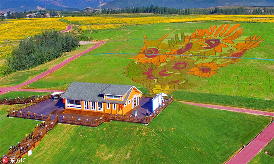 Los famosos girasoles de Van Gogh florecen en Hebei