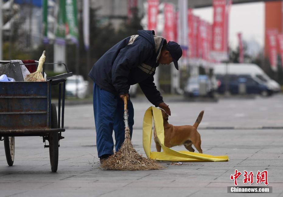 Un perro ayuda a su due?o a recoger basura en Changchun