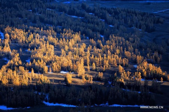 Impresionante paisaje oto?al en Kanas, Xinjiang