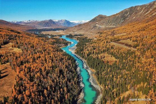 Impresionante paisaje oto?al en Kanas, Xinjiang