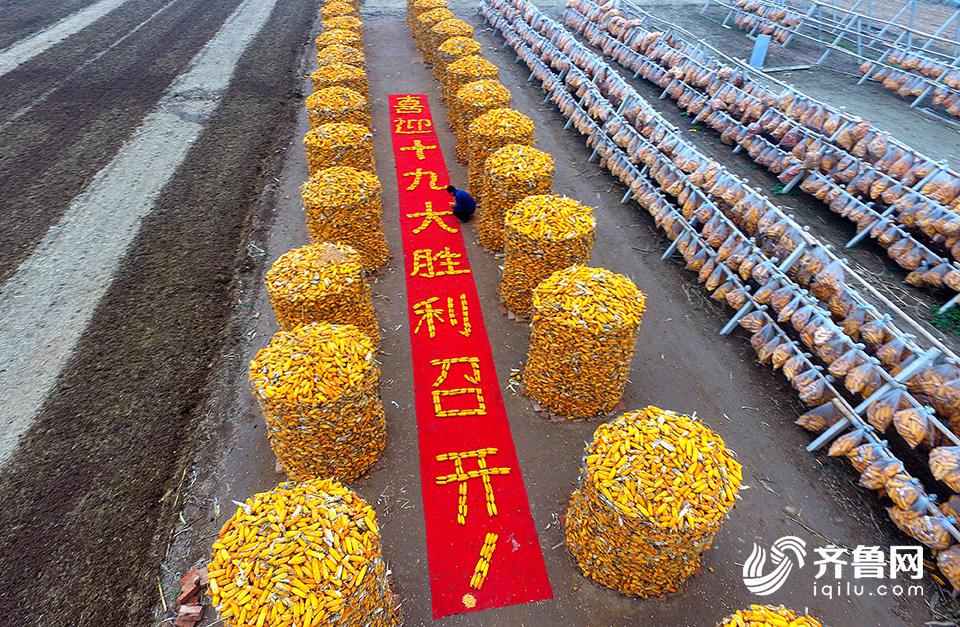 Aldeanos de Shandong saludan con maíz el inicio del XIX Congreso Nacional del PCCh