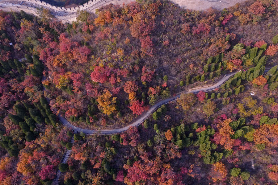 La Gran Muralla de Badaling se colorea de oto?o