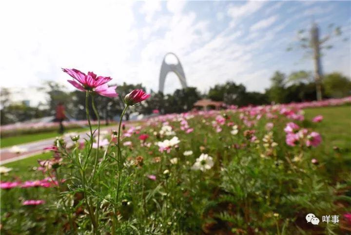 Guangzhou: una nueva vitalidad de cara al futuro