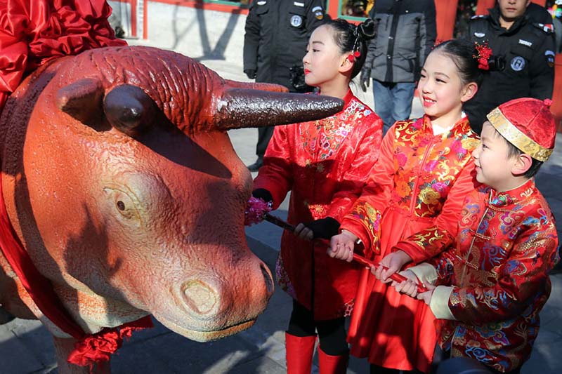 Los ni?os azotan figuras de bueyes en el Observatorio Antiguo en Beijing para celebrar el periodo del calendario lunar Comienzo de la Primavera, que comenzó el domingo. [Foto de Wang Zhuangfei / chinadaily.com.cn]