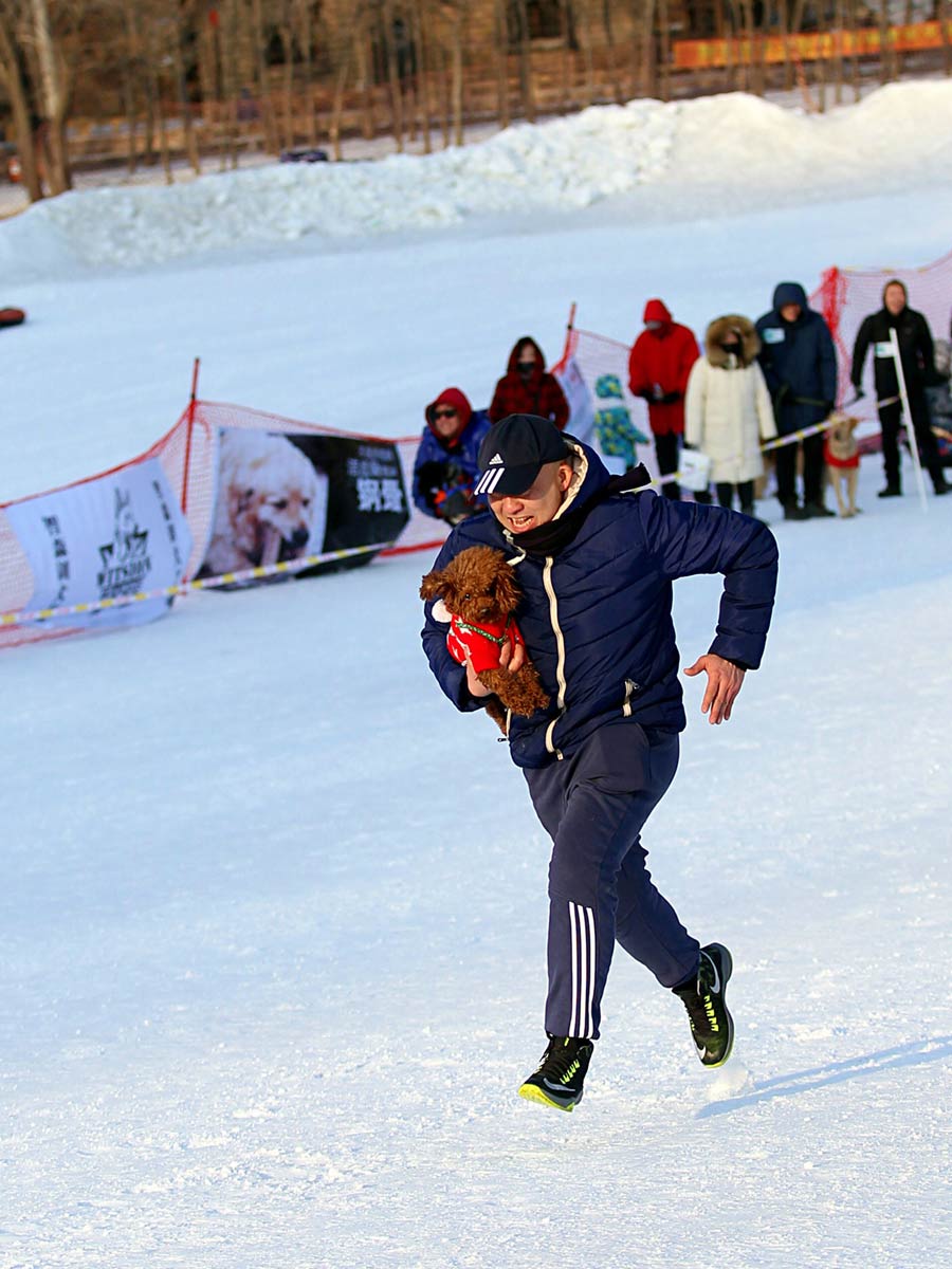 Un due?o corre sobre la nievecon su perro peque?o en brazos en los Juegos de Hielo y Nieve para Mascotas de Shenyang.[Foto / Proporcionado a chinadaily.com.cn]