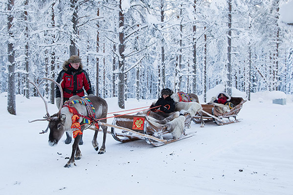 Turistas chinos montan trineos de alce en un peque?o bosque de Finlandia. [Foto: proporcionada] 